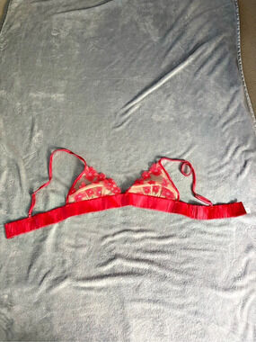 Fleur du Mal Lily Embroidery Triangle Bra Pink